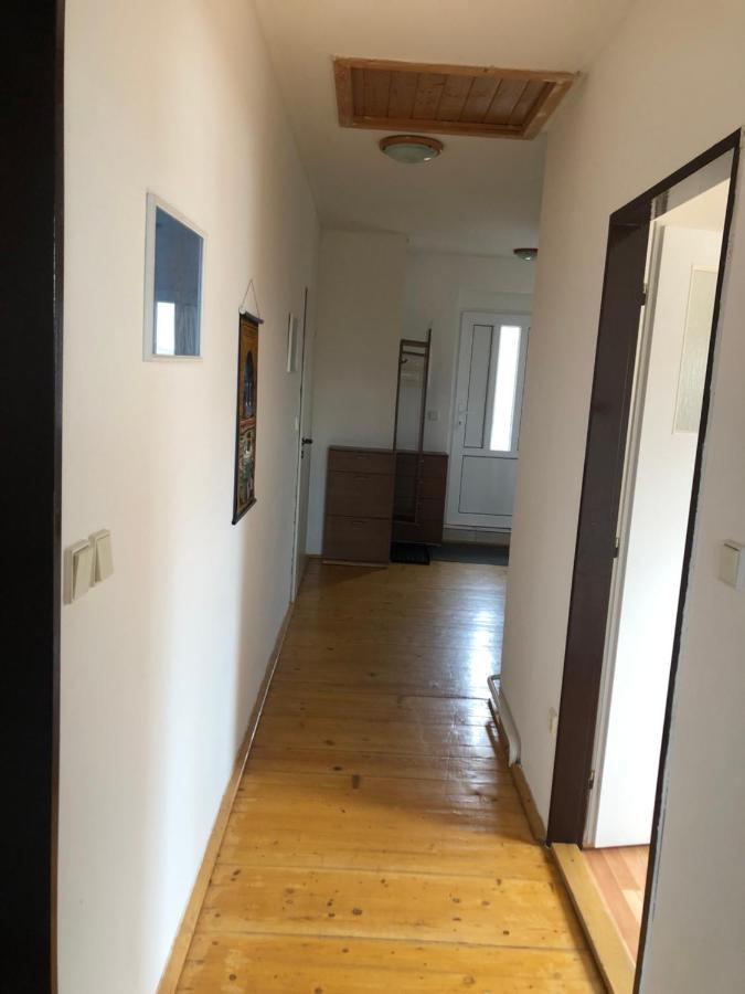 Apartman Pod Laznema 耶塞尼克 外观 照片